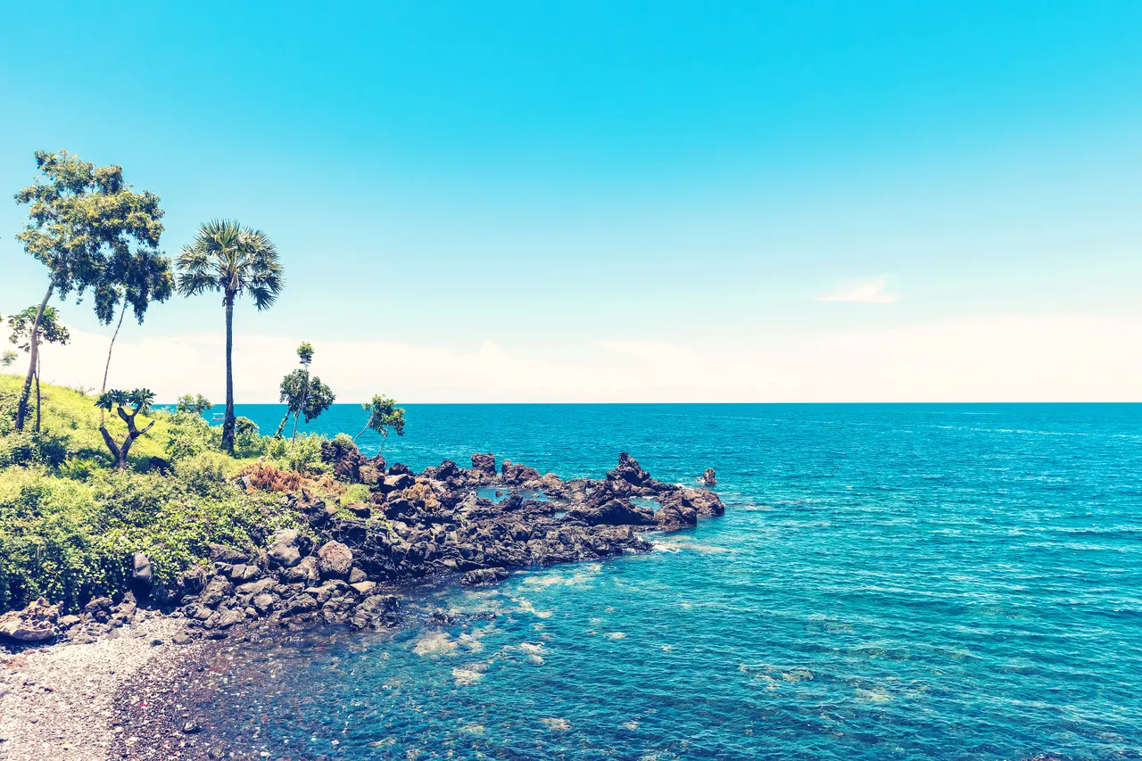 Turquoise sea meeting a rocky Bali shoreline with palm trees and green scrub under a clear blue sky.