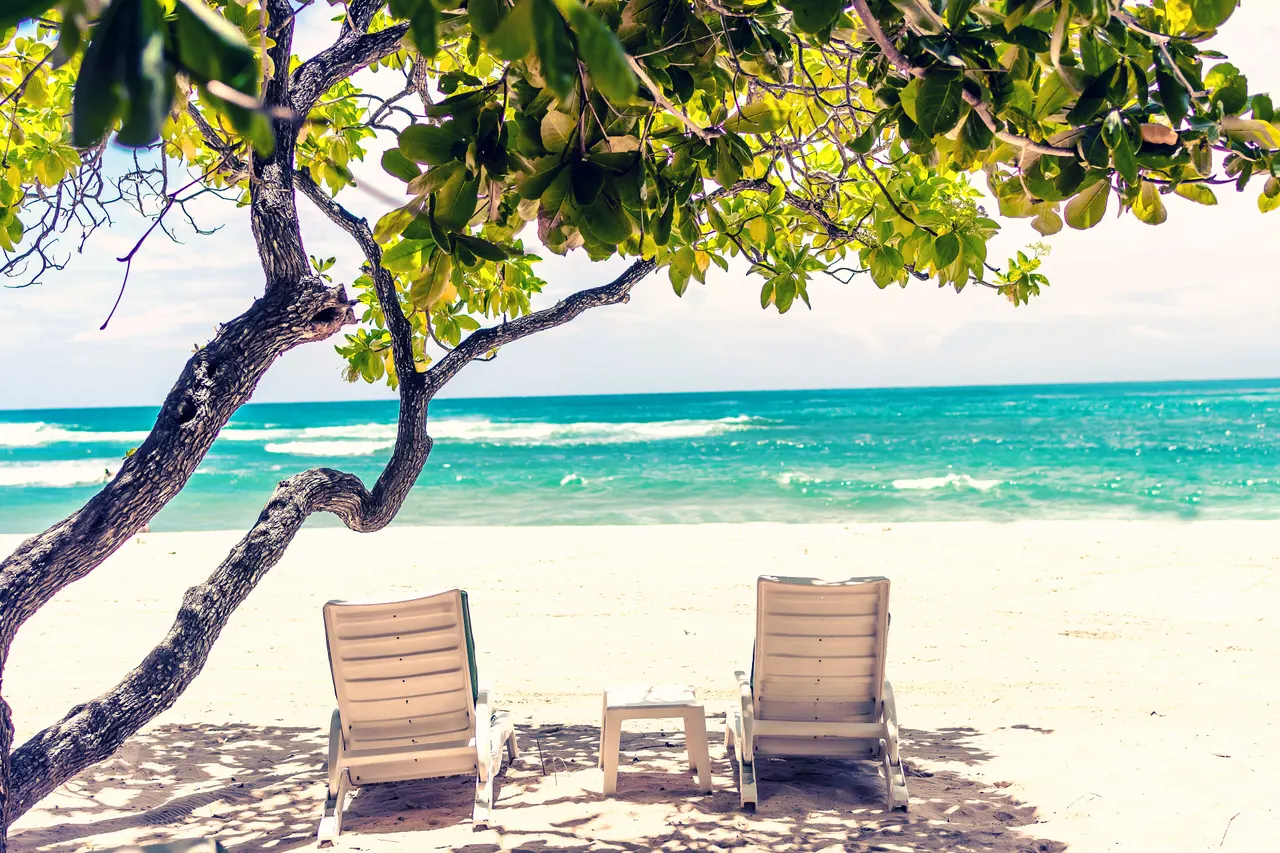 Two empty sun loungers on white sand beneath a tree, facing the turquoise sea in Bali.